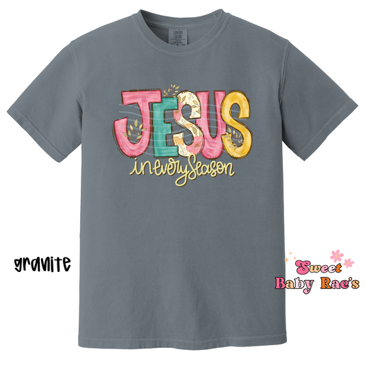 Jesus in Every Season