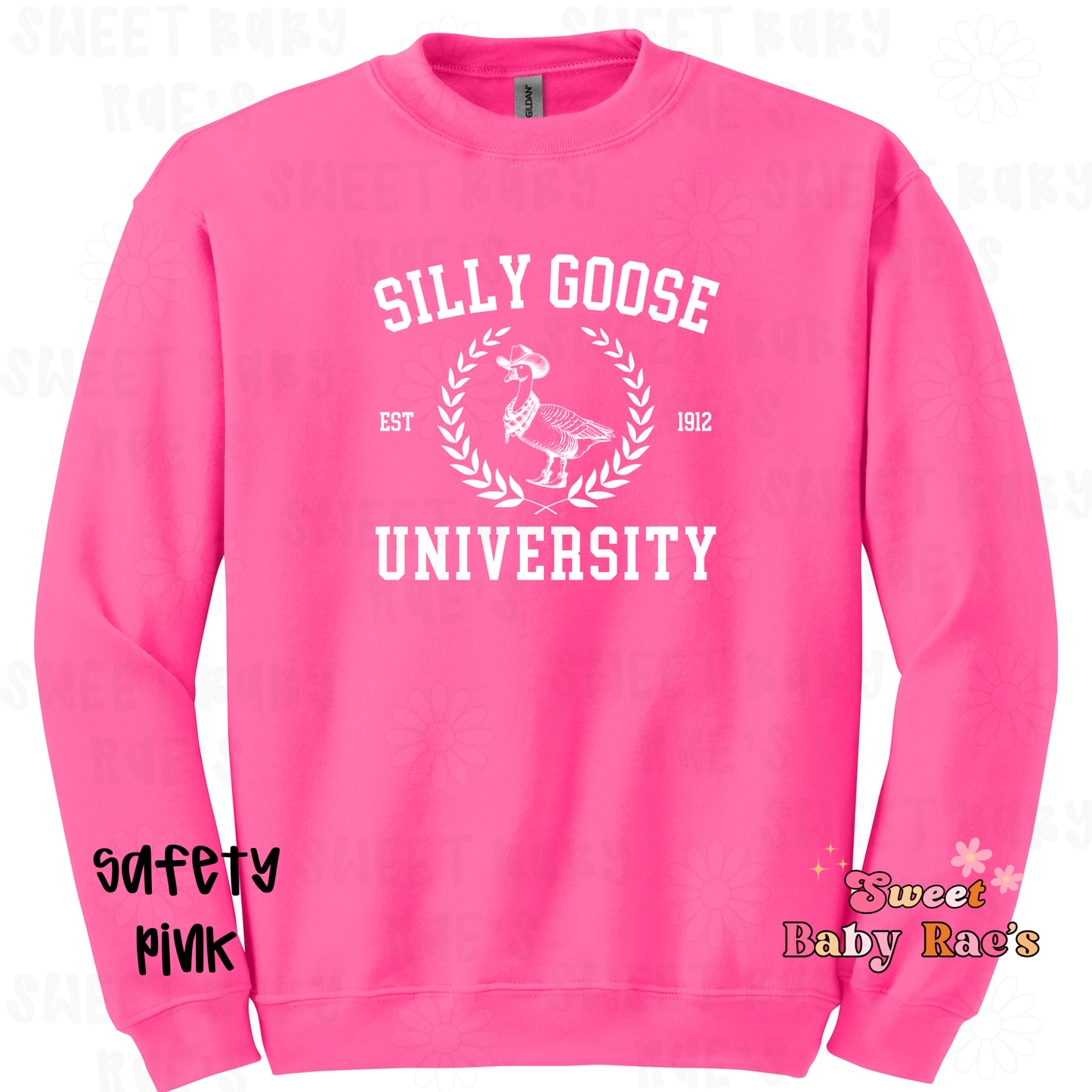 Silly Goose University